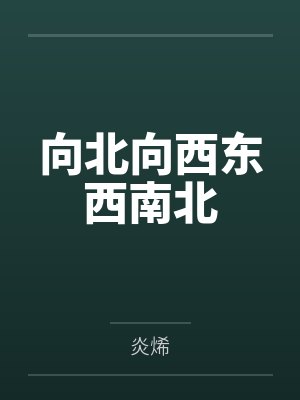 流星雨之夜